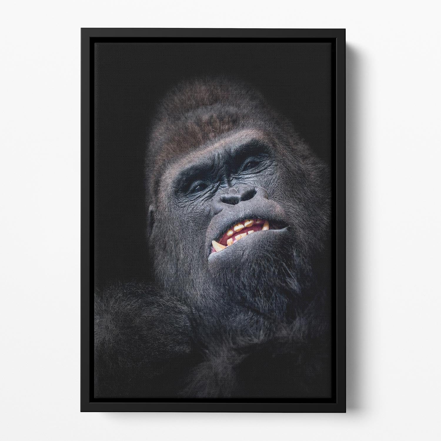 Gorilla face seen from above Floating Framed Canvas - Canvas Art Rocks - 2