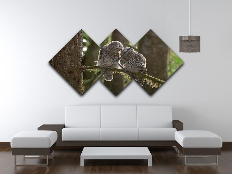 Two Owls Kissing 4 Square Multi Panel Canvas - Canvas Art Rocks - 3