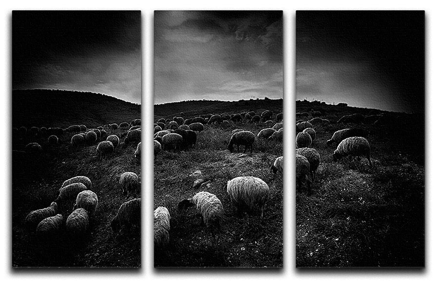The sheep in the valley 3 Split Panel Canvas Print - Canvas Art Rocks - 1