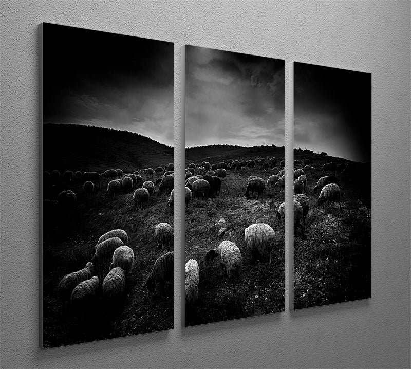 The sheep in the valley 3 Split Panel Canvas Print - Canvas Art Rocks - 2