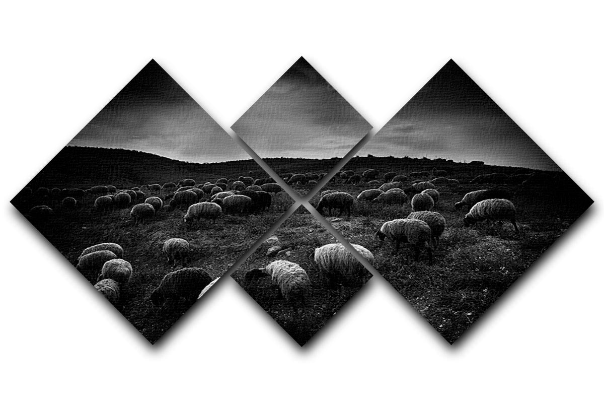 The sheep in the valley 4 Square Multi Panel Canvas - Canvas Art Rocks - 1
