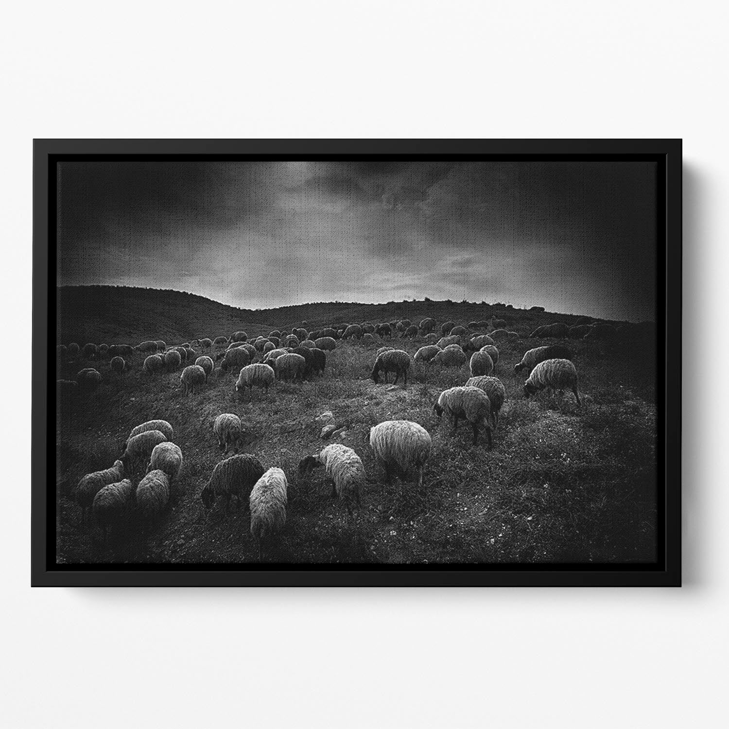 The sheep in the valley Floating Framed Canvas - Canvas Art Rocks - 2