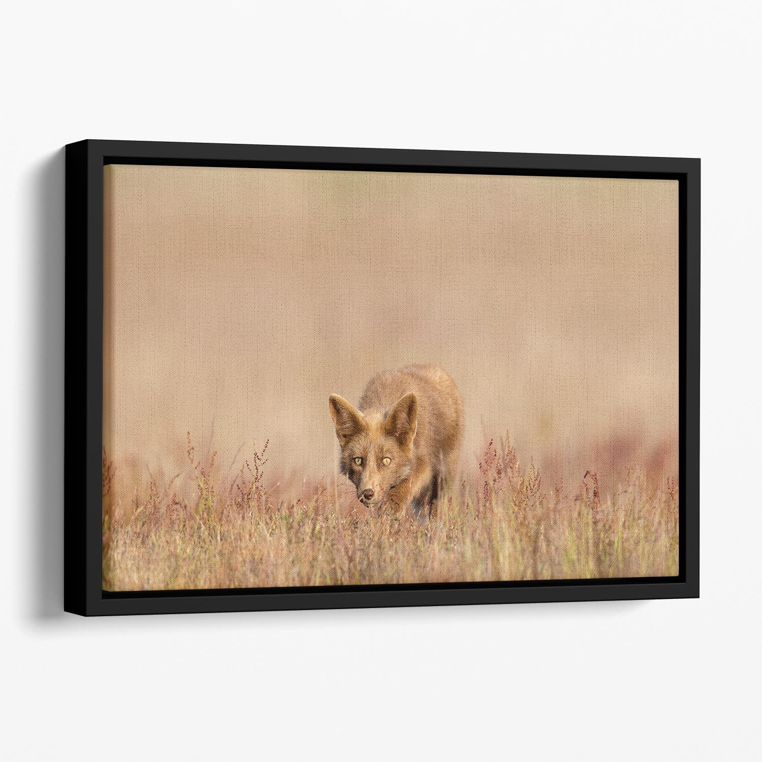 A Fox On The Hunt Floating Framed Canvas - Canvas Art Rocks - 1