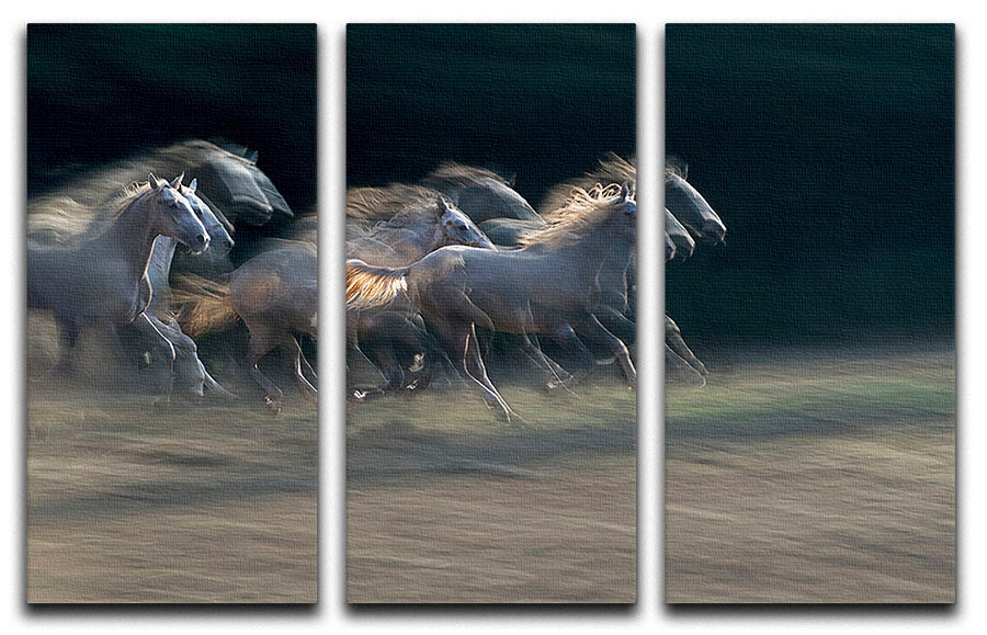 A Horses Gallop 3 Split Panel Canvas Print - Canvas Art Rocks - 1
