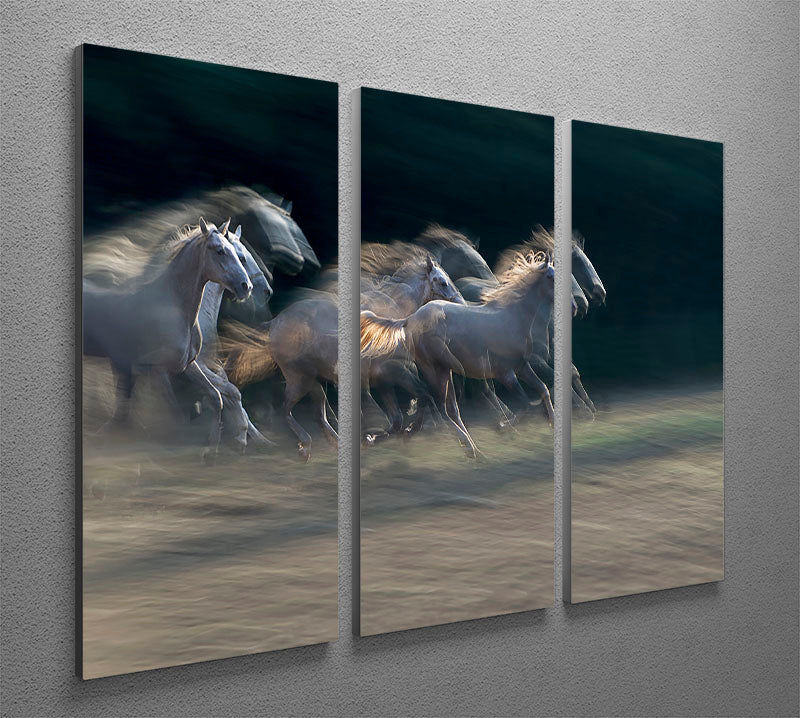 A Horses Gallop 3 Split Panel Canvas Print - Canvas Art Rocks - 2