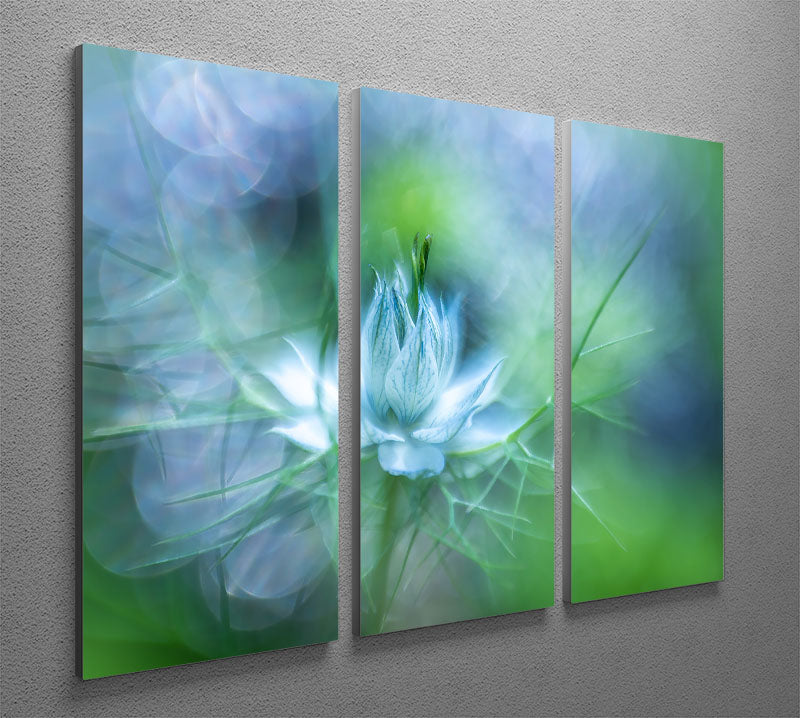 Blue Flower 3 Split Panel Canvas Print - Canvas Art Rocks - 2