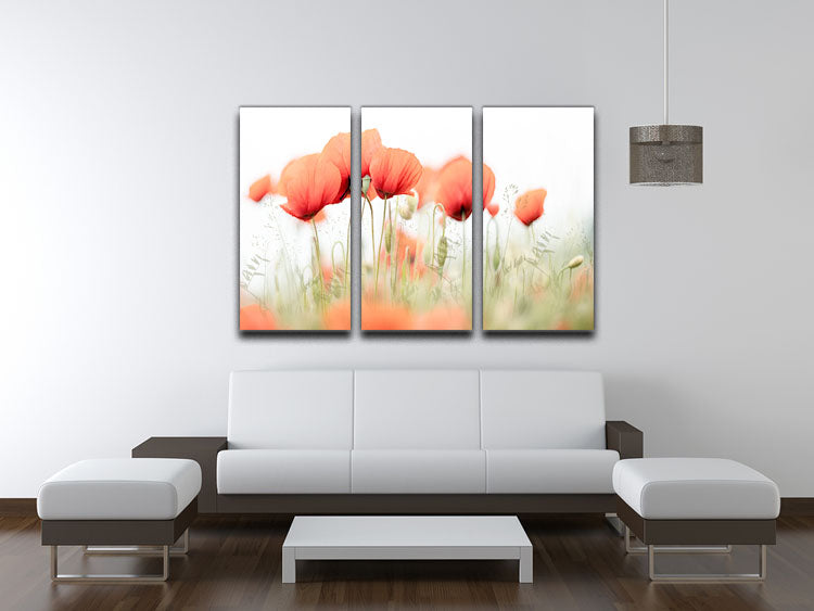 Poppies On A Summer Day 3 Split Panel Canvas Print - Canvas Art Rocks - 3