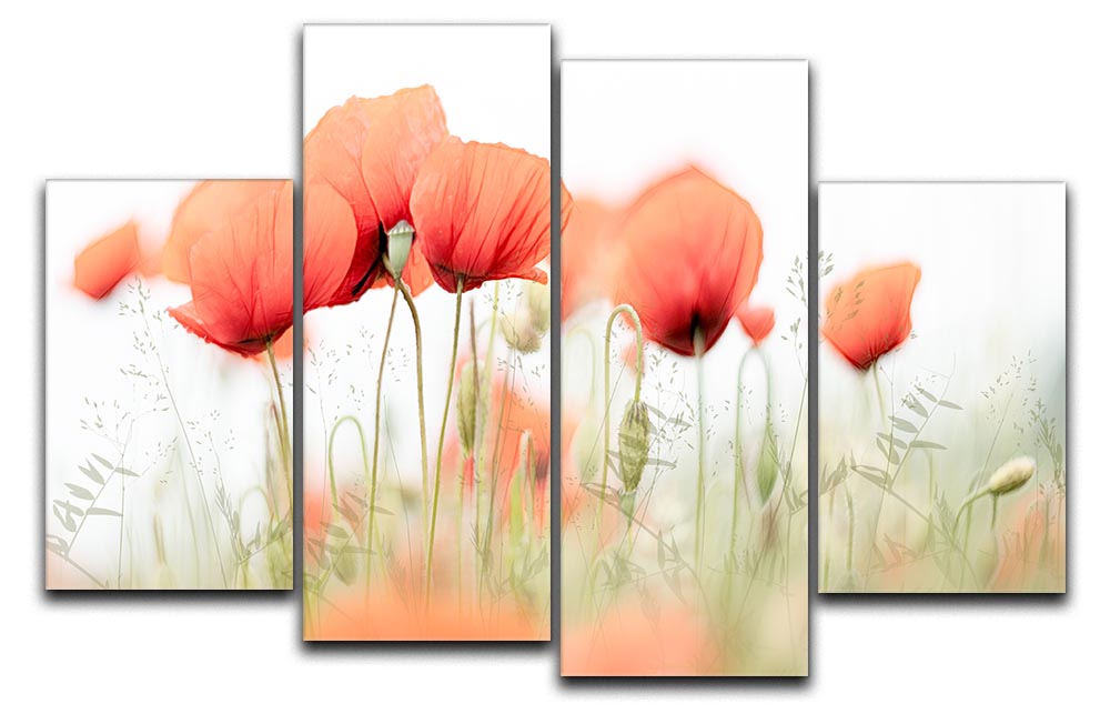 Poppies On A Summer Day 4 Split Panel Canvas - Canvas Art Rocks - 1