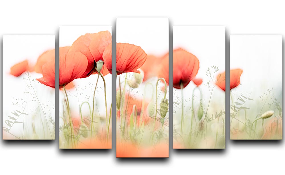 Poppies On A Summer Day 5 Split Panel Canvas - Canvas Art Rocks - 1