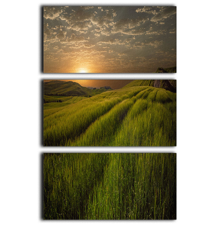 Sunset Over The Fields 3 Split Panel Canvas Print - Canvas Art Rocks - 1