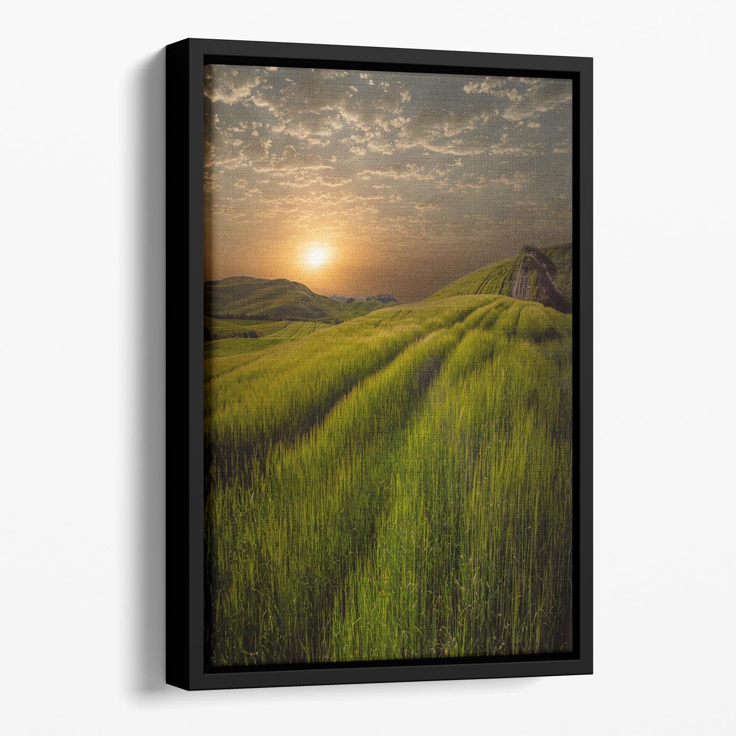 Sunset Over The Fields Floating Framed Canvas - Canvas Art Rocks - 1