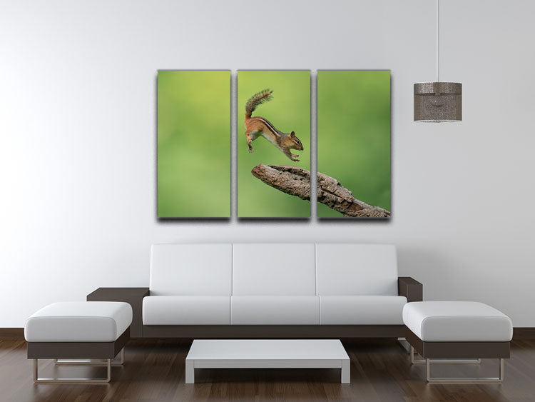 Squirell Leaping 3 Split Panel Canvas Print - Canvas Art Rocks - 3