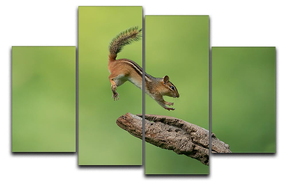 Squirell Leaping 4 Split Panel Canvas - Canvas Art Rocks - 1