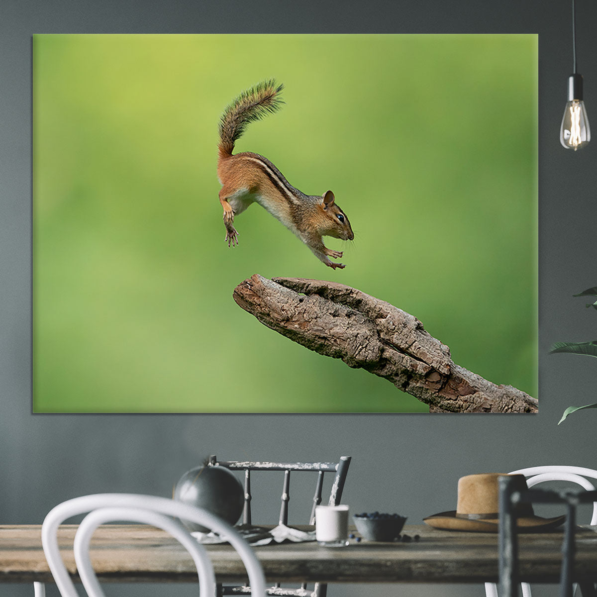 Squirell Leaping Canvas Print or Poster - Canvas Art Rocks - 3