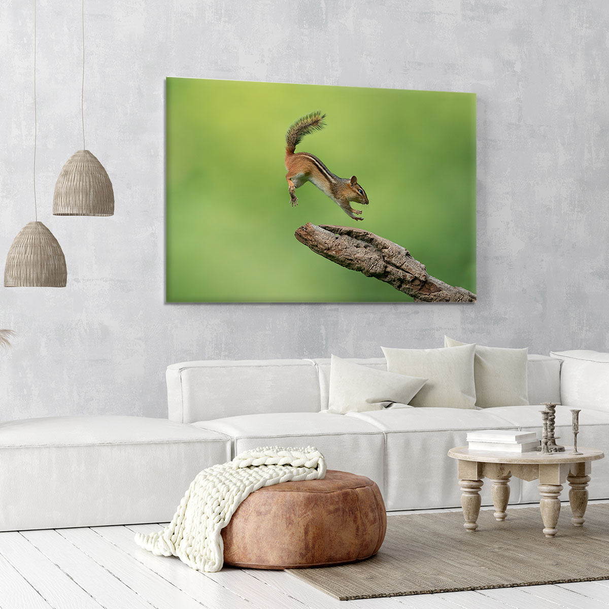 Squirell Leaping Canvas Print or Poster - Canvas Art Rocks - 6
