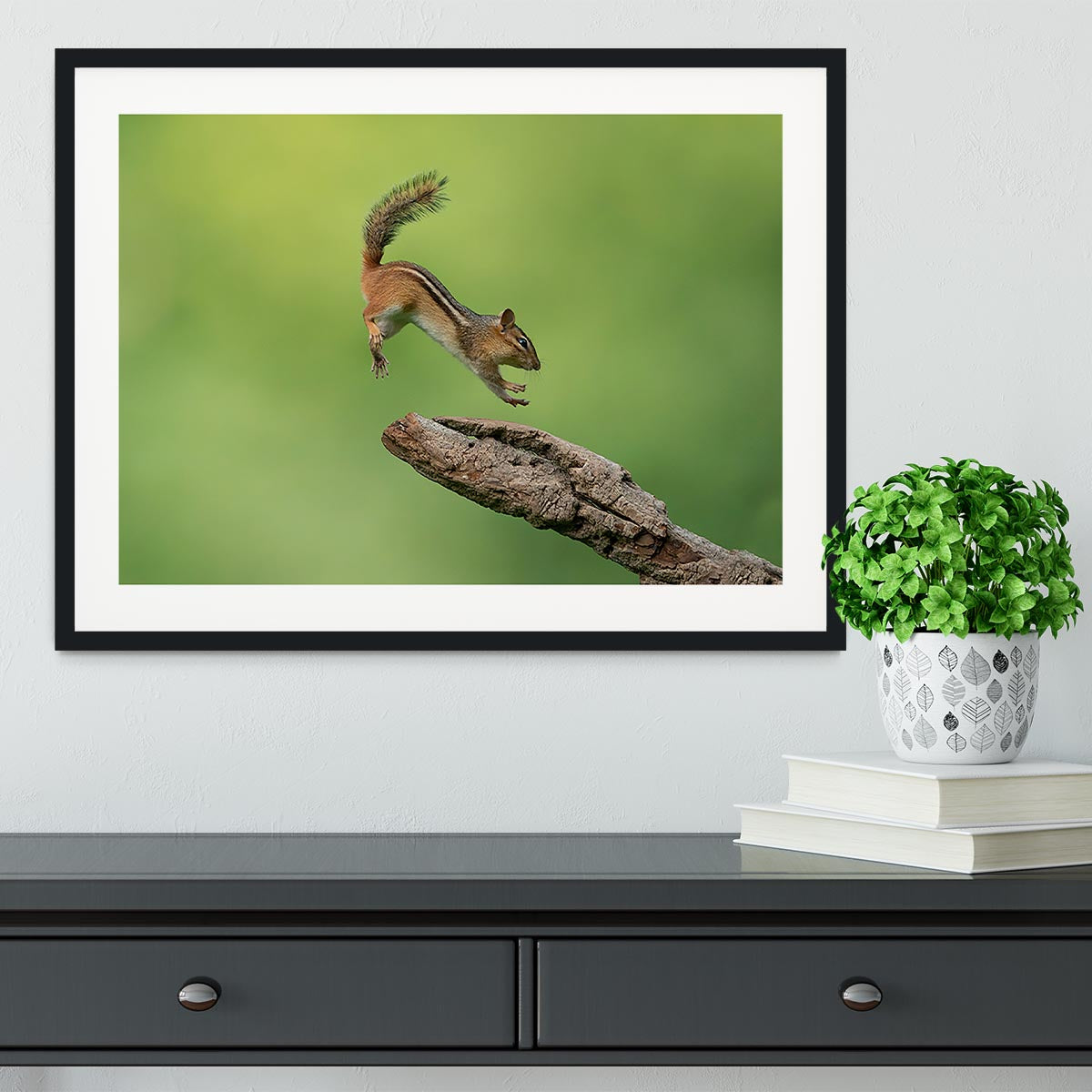 Squirell Leaping Framed Print - Canvas Art Rocks - 1