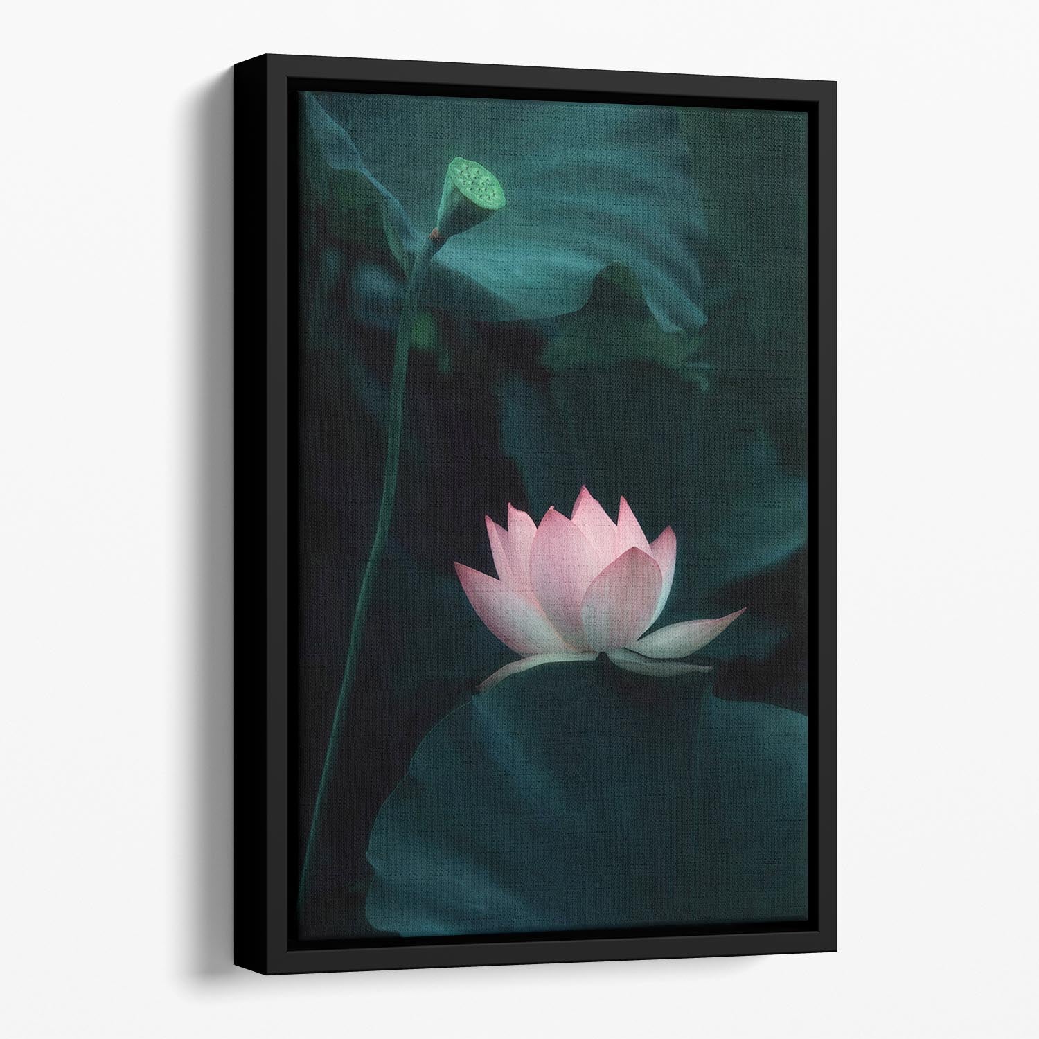 Lotus Flower Floating Framed Canvas - Canvas Art Rocks - 1