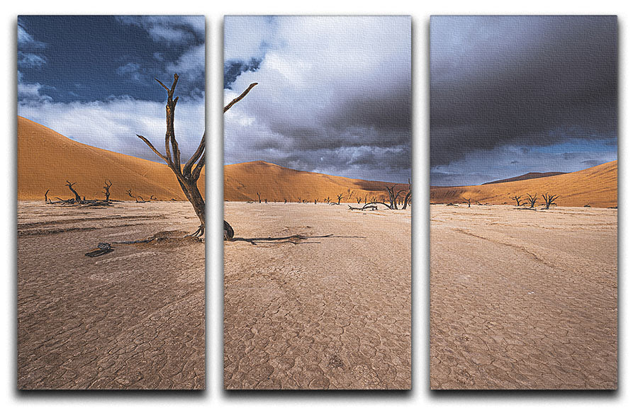 Deadvlei Desert 3 Split Panel Canvas Print - Canvas Art Rocks - 1