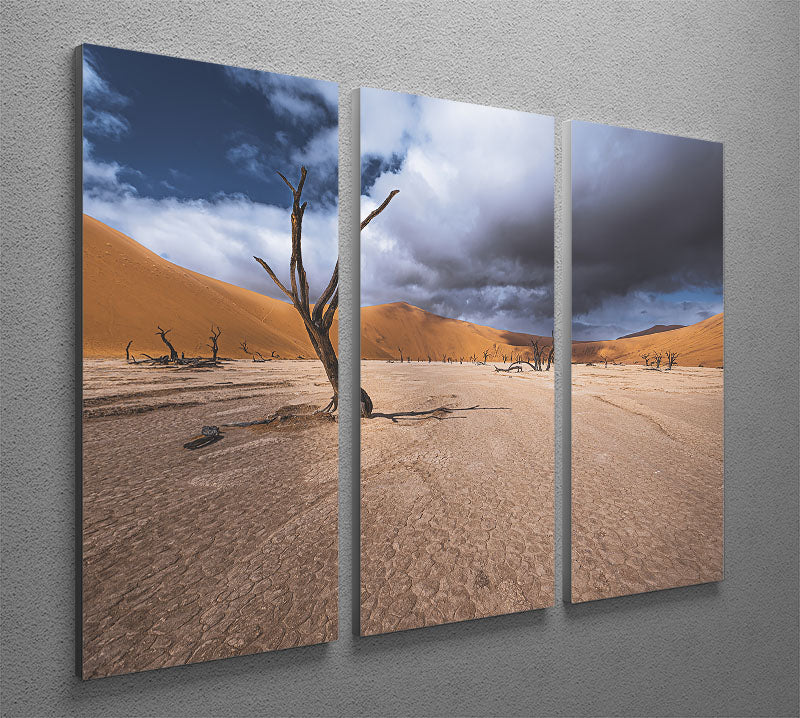 Deadvlei Desert 3 Split Panel Canvas Print - Canvas Art Rocks - 2