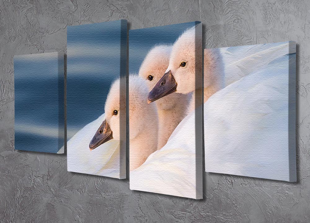 Three White Swans 4 Split Panel Canvas - Canvas Art Rocks - 2
