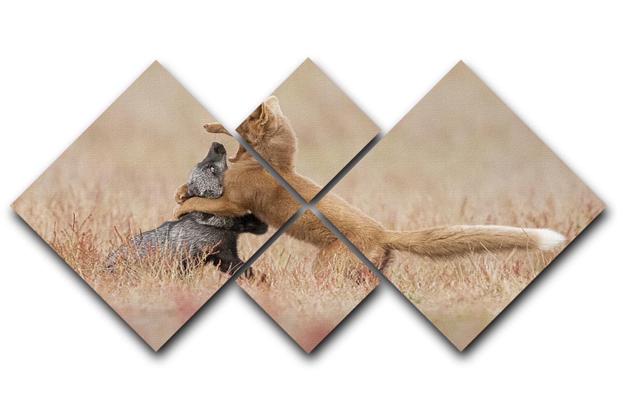 Two Foxes Playing In The Grass 4 Square Multi Panel Canvas - Canvas Art Rocks - 1