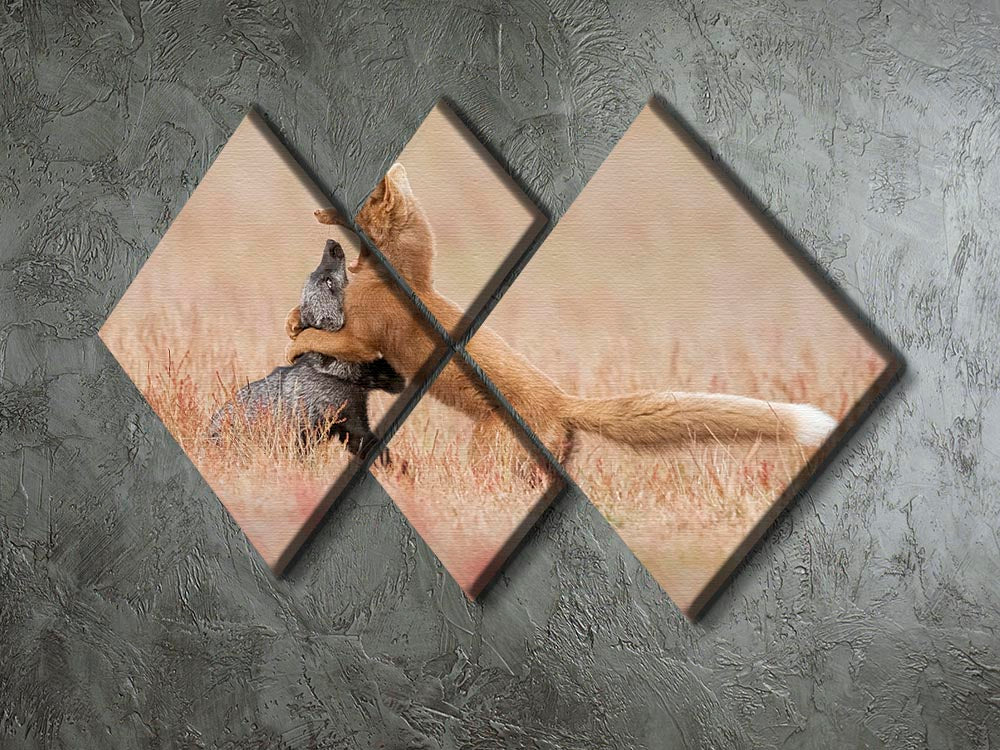 Two Foxes Playing In The Grass 4 Square Multi Panel Canvas - Canvas Art Rocks - 2