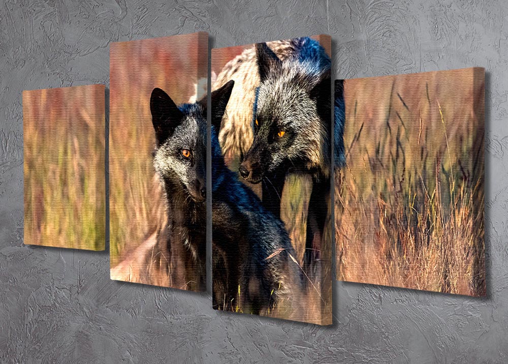 Two Black Foxes 4 Split Panel Canvas - Canvas Art Rocks - 2