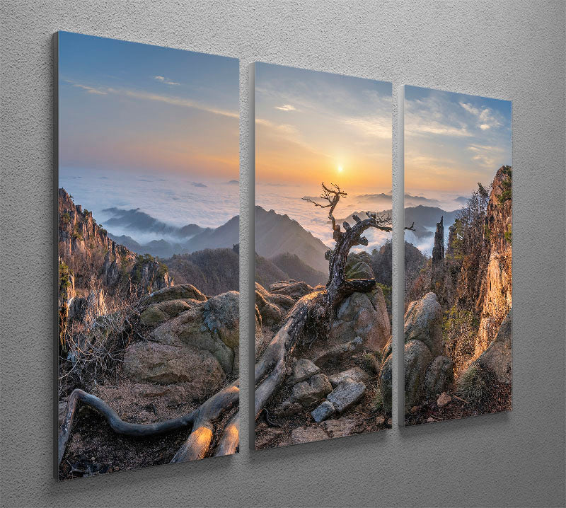 Dead pine On The Mountains 3 Split Panel Canvas Print - Canvas Art Rocks - 2