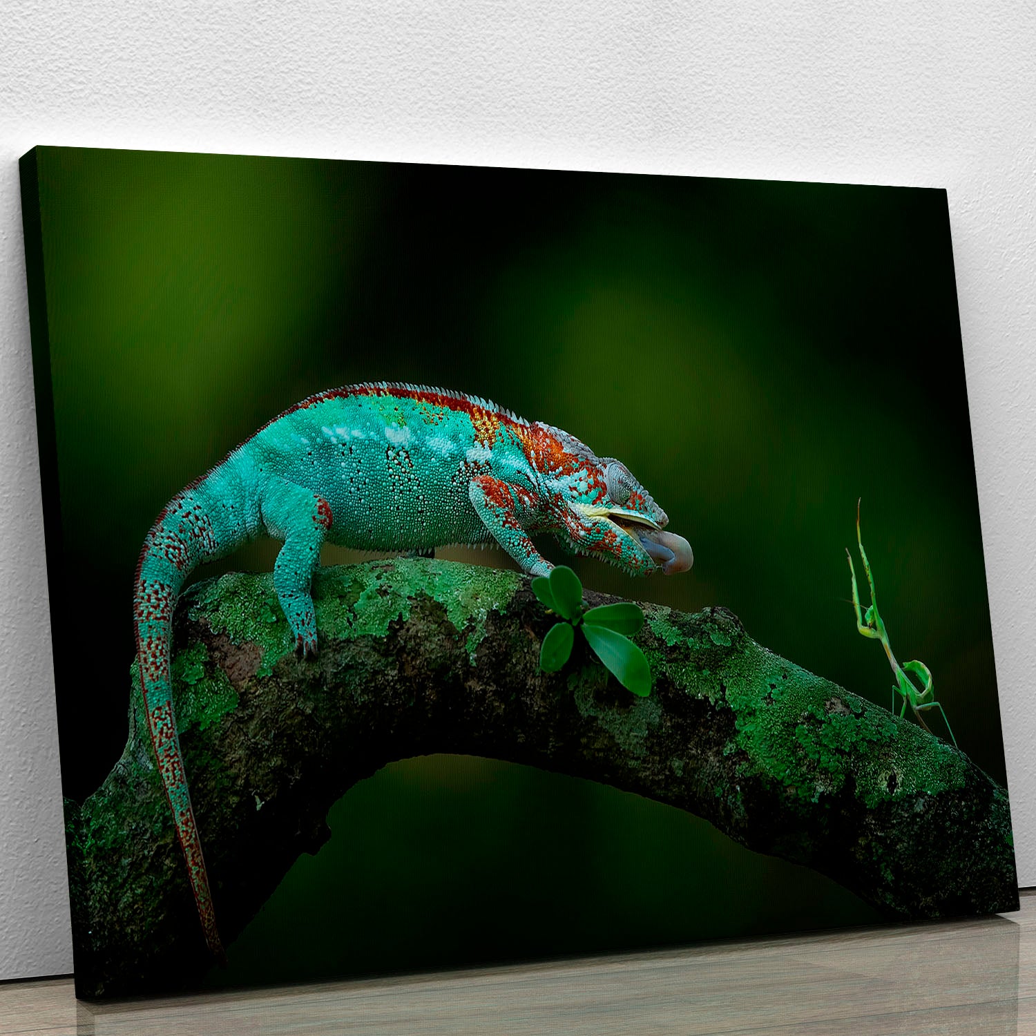 Chamelon Catching Its Prey Canvas Print or Poster - Canvas Art Rocks - 1