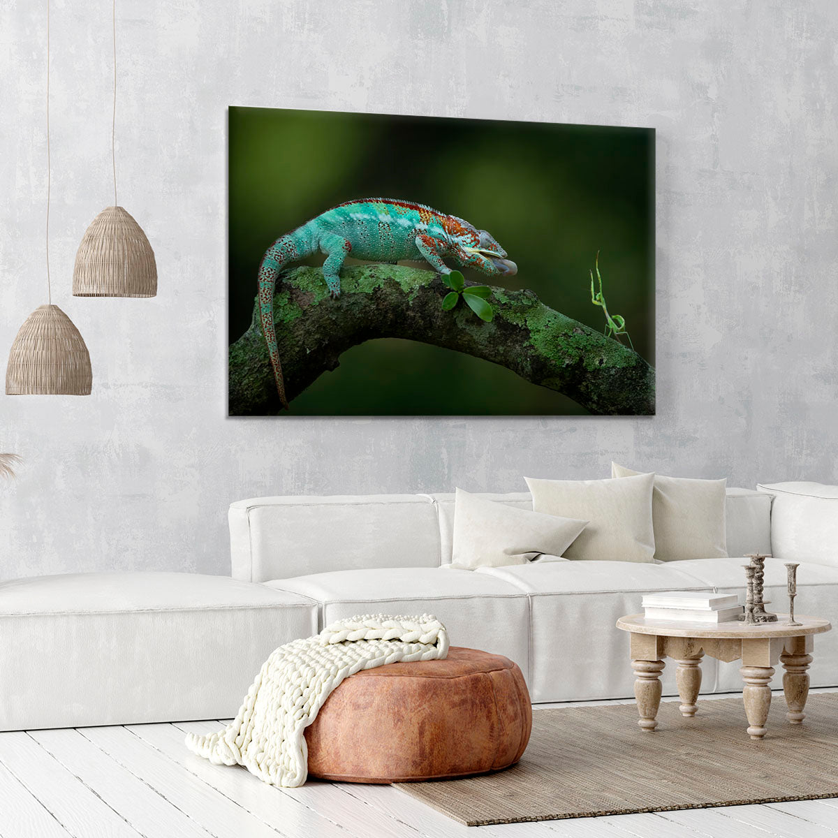 Chamelon Catching Its Prey Canvas Print or Poster - Canvas Art Rocks - 6