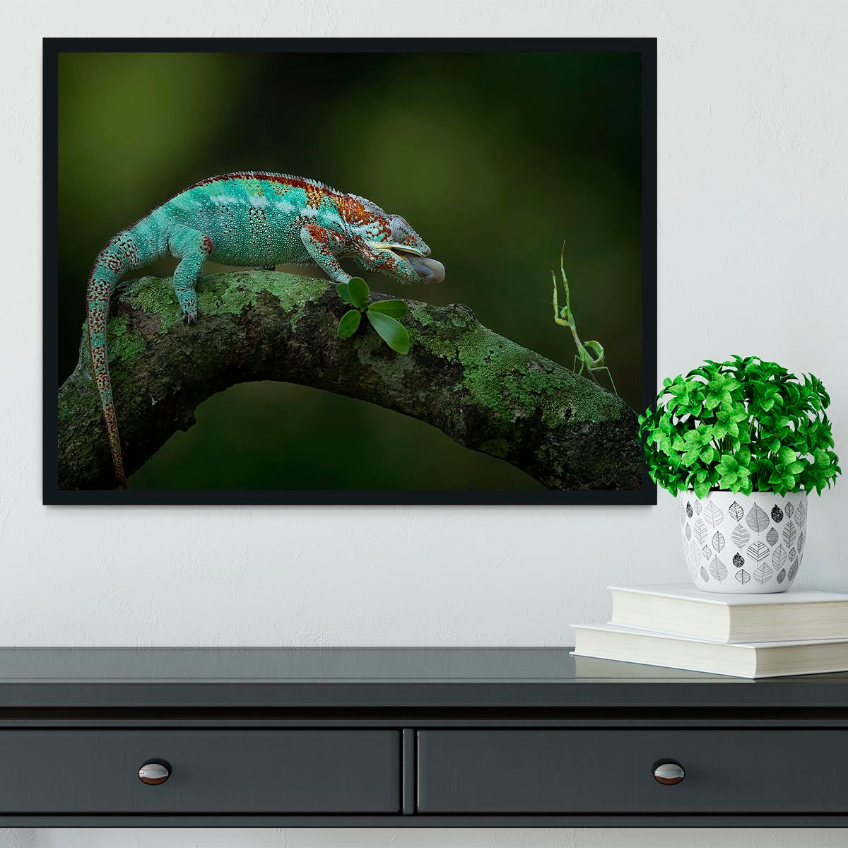 Chamelon Catching Its Prey Framed Print - Canvas Art Rocks - 2