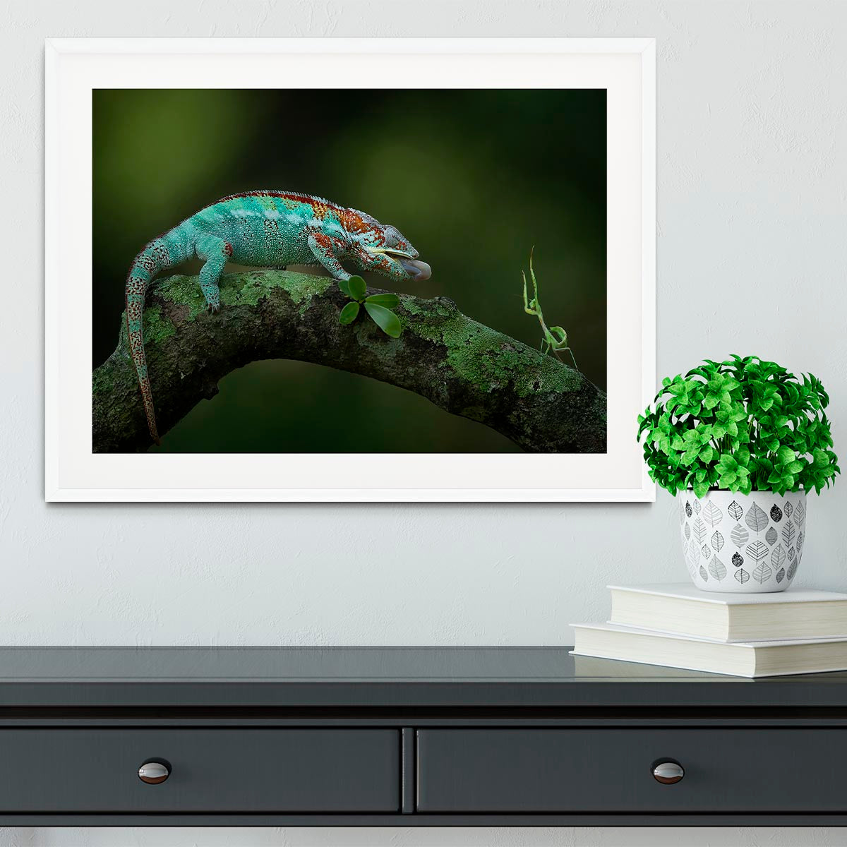 Chamelon Catching Its Prey Framed Print - Canvas Art Rocks - 5