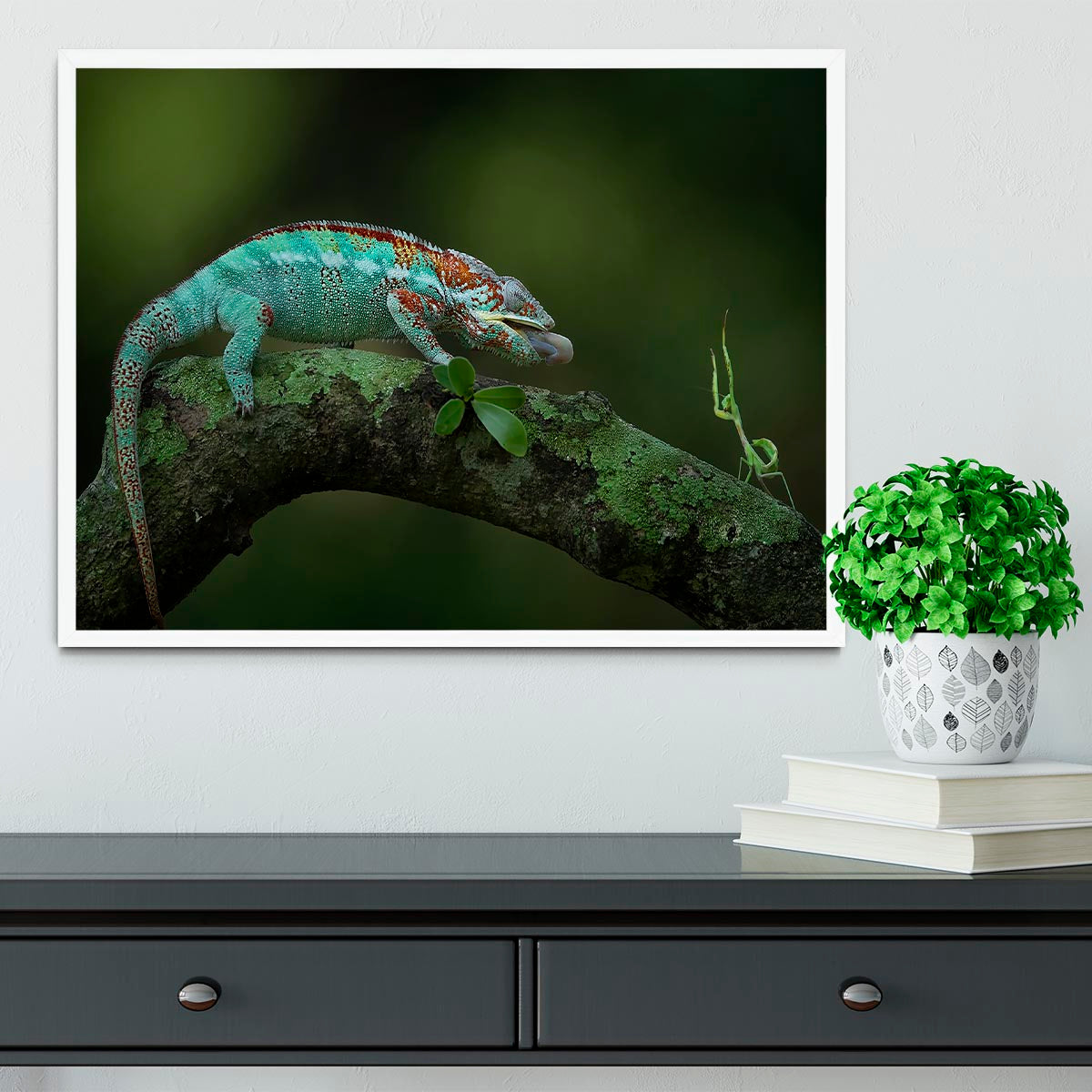 Chamelon Catching Its Prey Framed Print - Canvas Art Rocks -6