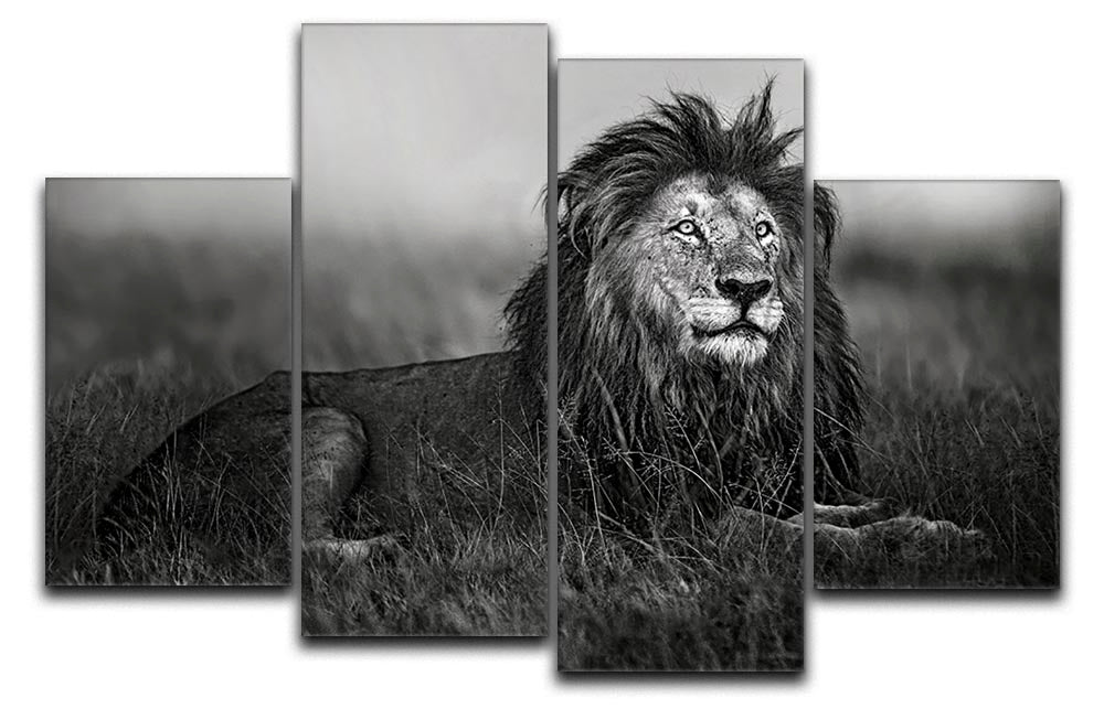 Greyscale Lion 4 Split Panel Canvas - Canvas Art Rocks - 1