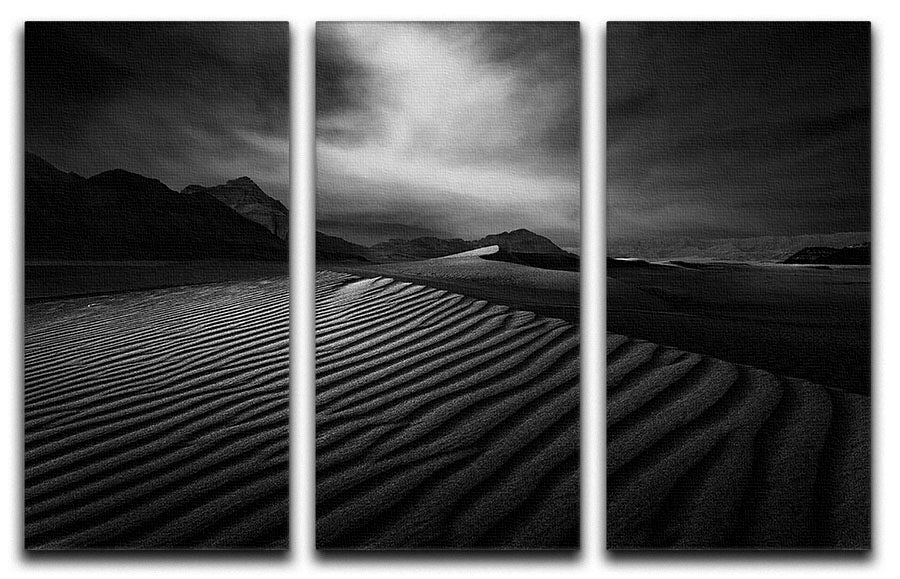 Desert In Greyscale 3 Split Panel Canvas Print - Canvas Art Rocks - 1