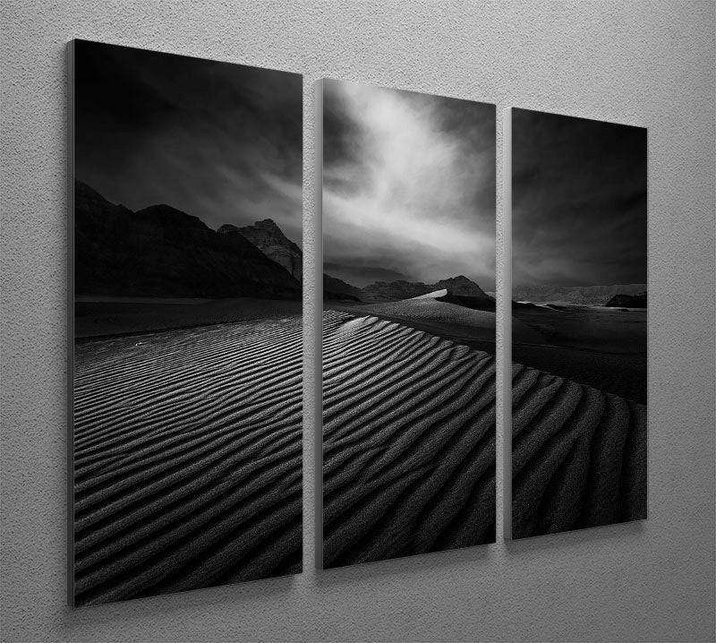 Desert In Greyscale 3 Split Panel Canvas Print - Canvas Art Rocks - 2