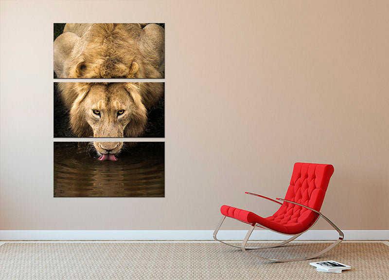 A Thirsty Lion 3 Split Panel Canvas Print - Canvas Art Rocks - 2