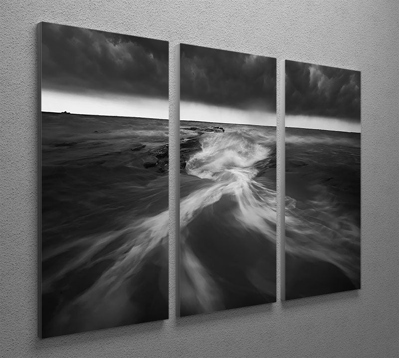 Coastline In Greyscale 3 Split Panel Canvas Print - Canvas Art Rocks - 2
