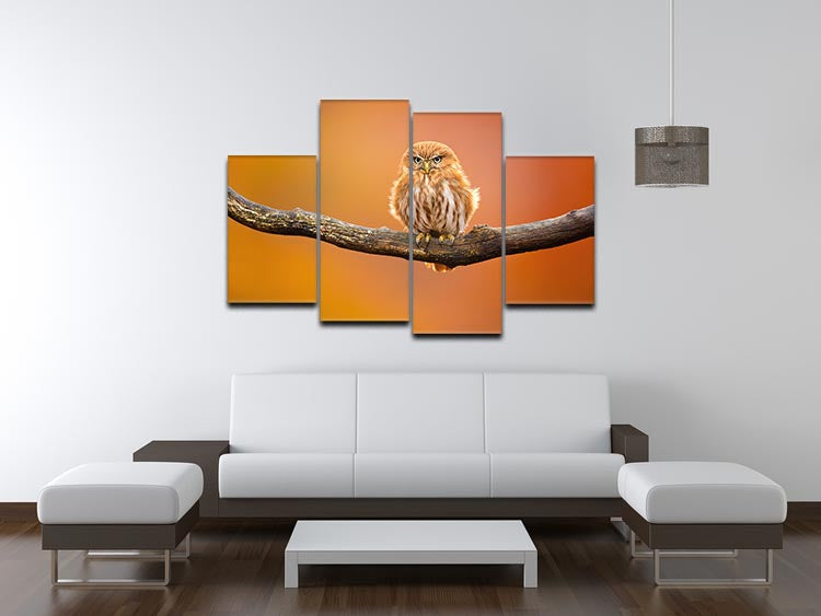 Orange Ferruginous Pygmy Owl 4 Split Panel Canvas - Canvas Art Rocks - 3