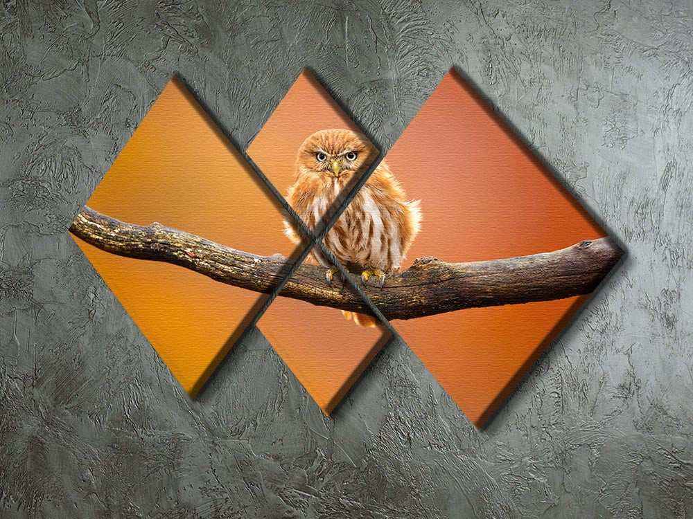 Orange Ferruginous Pygmy Owl 4 Square Multi Panel Canvas - Canvas Art Rocks - 2