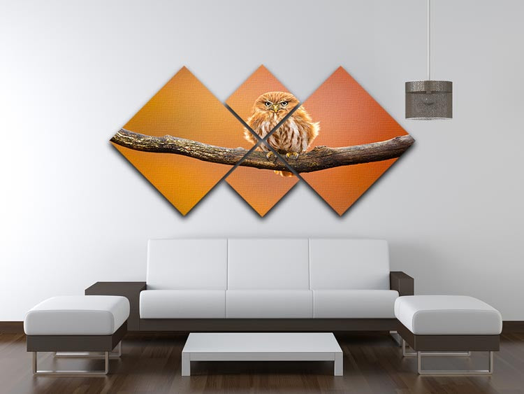 Orange Ferruginous Pygmy Owl 4 Square Multi Panel Canvas - Canvas Art Rocks - 3
