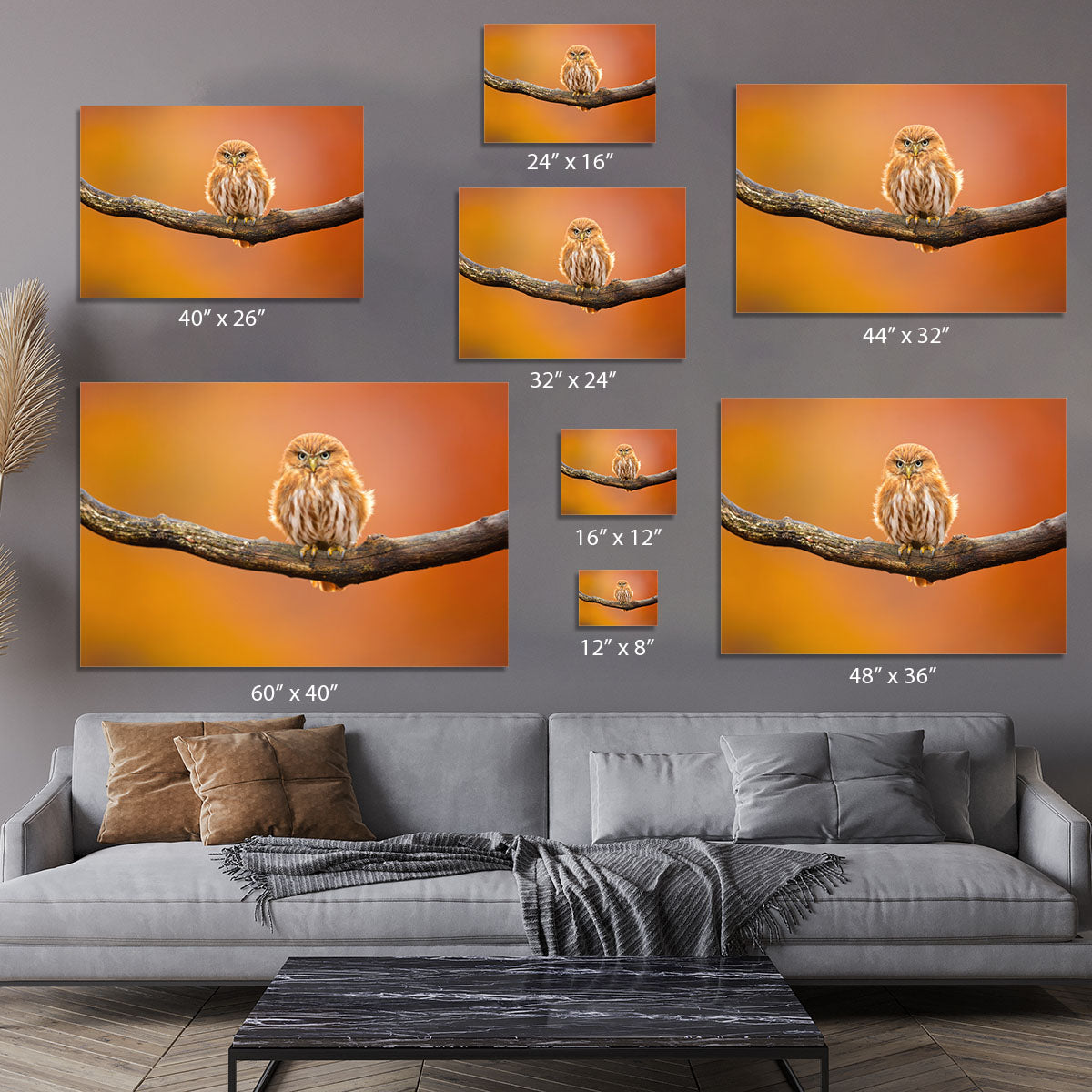 Orange Ferruginous Pygmy Owl Canvas Print or Poster - Canvas Art Rocks - 7