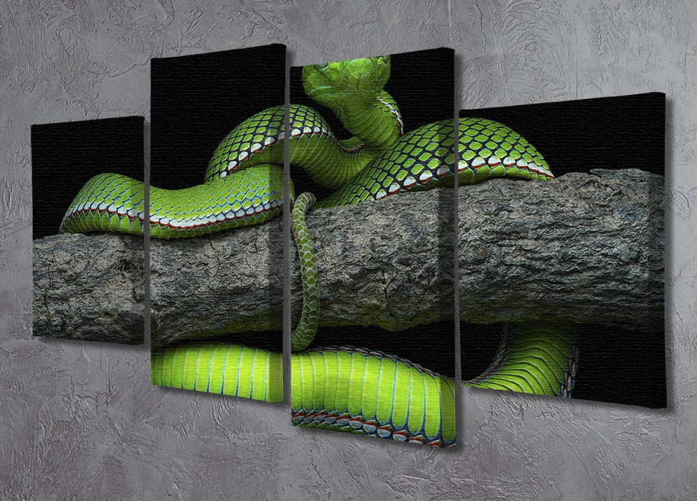 Green Trimeresurus Vogeli Snake 4 Split Panel Canvas - Canvas Art Rocks - 2