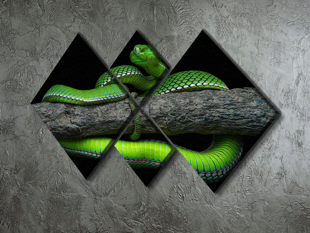 Green Trimeresurus Vogeli Snake 4 Square Multi Panel Canvas - Canvas Art Rocks - 2