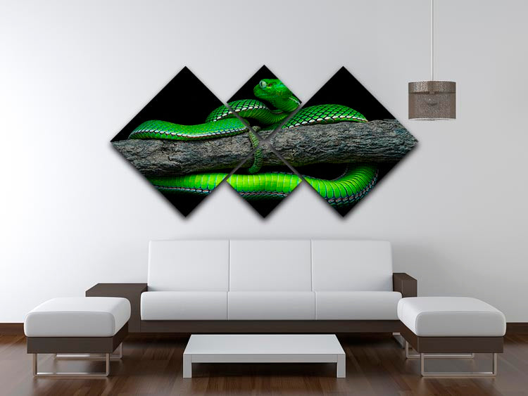 Green Trimeresurus Vogeli Snake 4 Square Multi Panel Canvas - Canvas Art Rocks - 3