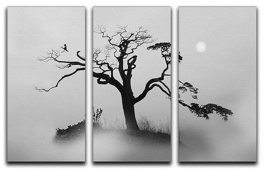 Pine tree In The Fog 3 Split Panel Canvas Print - Canvas Art Rocks - 1