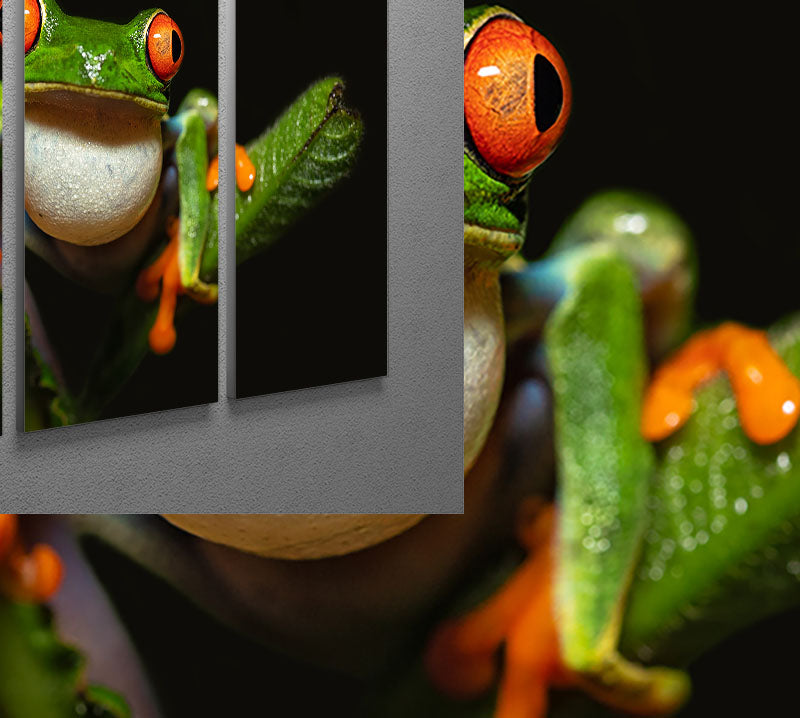 Red-eyed tree frog 3 Split Panel Canvas Print - Canvas Art Rocks - 2