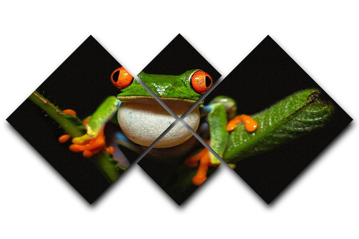 Red-eyed tree frog 4 Square Multi Panel Canvas - Canvas Art Rocks - 1