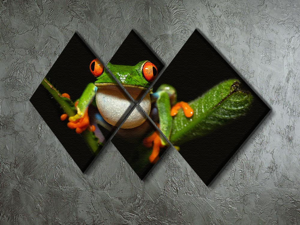 Red-eyed tree frog 4 Square Multi Panel Canvas - Canvas Art Rocks - 2