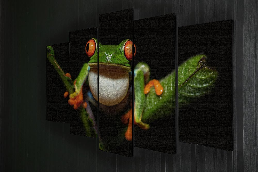 Red-eyed tree frog 5 Split Panel Canvas - Canvas Art Rocks - 2
